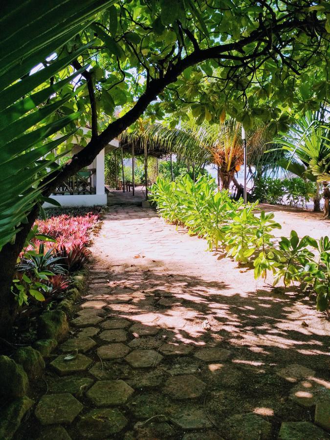 Panga Chumvi Beach Resort Matemwe  Ngoại thất bức ảnh