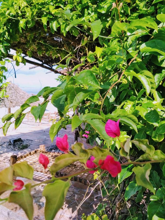 Panga Chumvi Beach Resort Matemwe  Ngoại thất bức ảnh